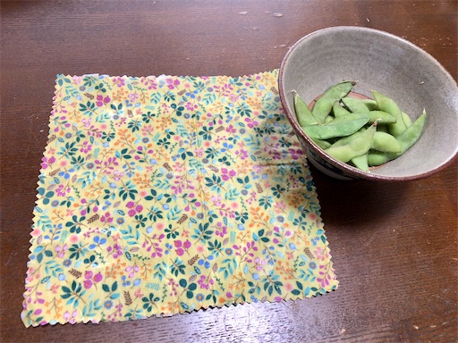 f:id:chiiwaka:20230607103817j:image