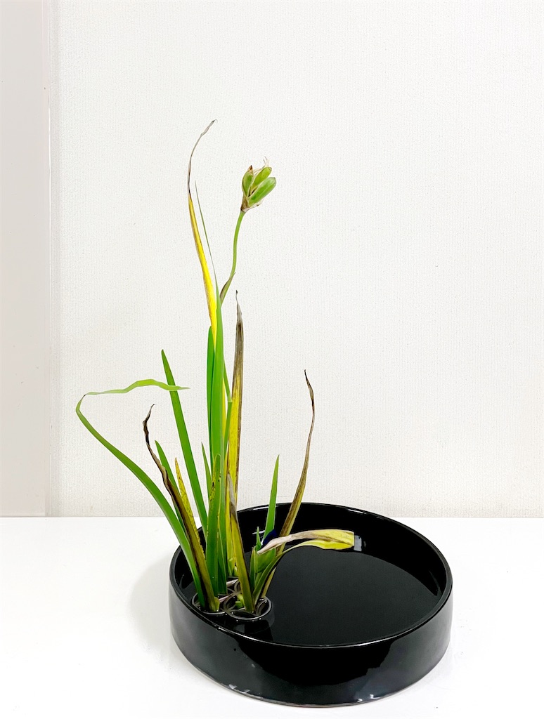 値下げしました。 山口華楊、燕子花（かきつばた） 燕子花に燕 文化遺産オンライン