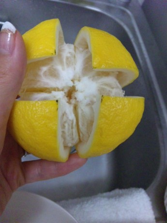 f:id:chika_4:20100207223333j:image