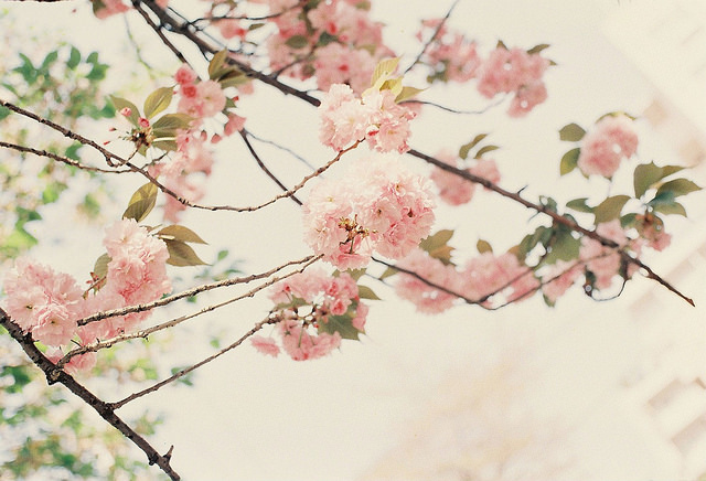 f:id:chikachi_3:20180404141137j:plain f:id:chikachi_3:20180404141137j:plain