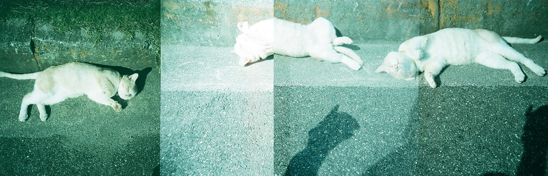 f:id:chikachi_3:20200730011944j:plain f:id:chikachi_3:20200730011944j:plain