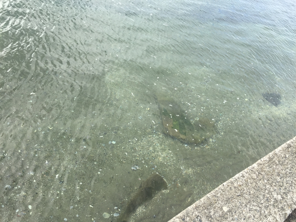 f:id:chikanism:20160926054033j:plain