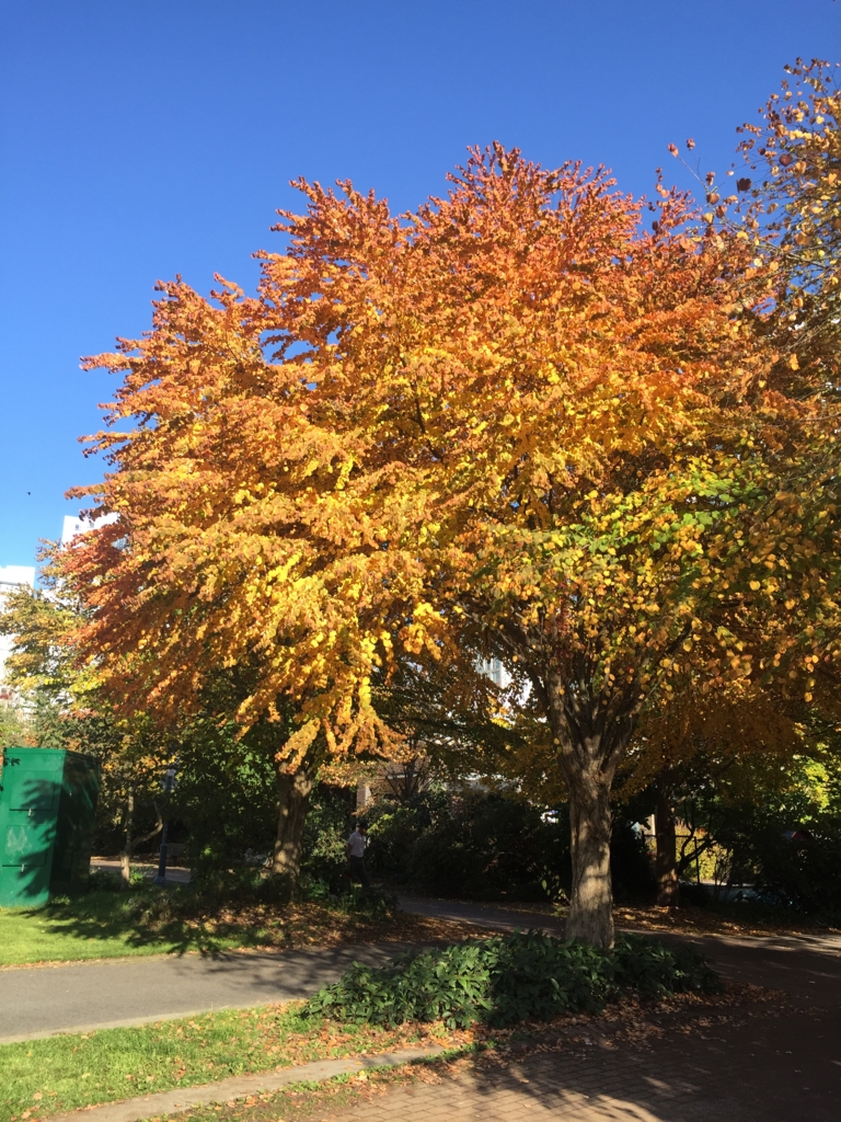 f:id:chikanism:20161002033220j:plain