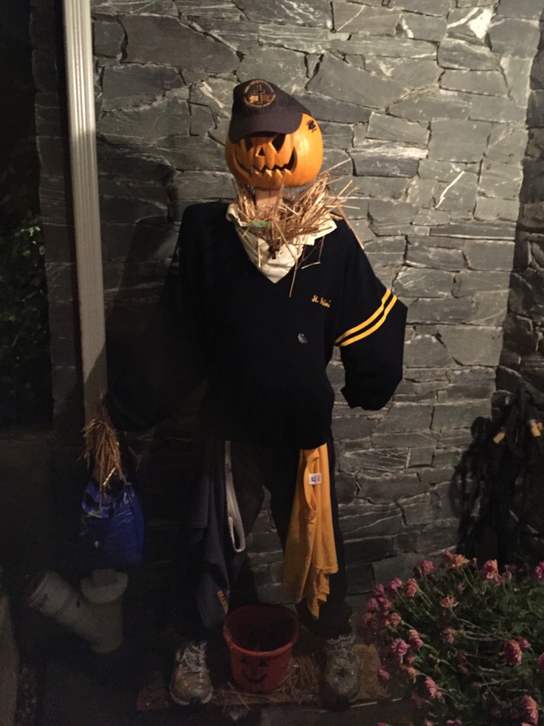 f:id:chikanism:20161102145514j:plain