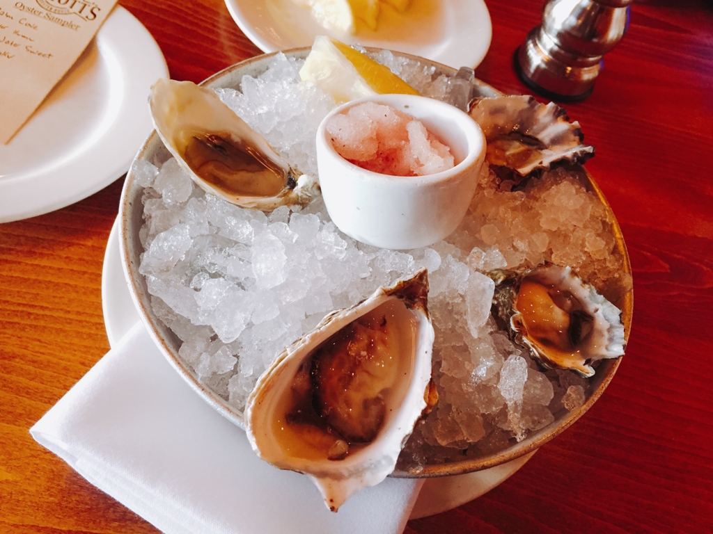 f:id:chikanism:20170106142606j:plain f:id:chikanism:20170106142606j:plain