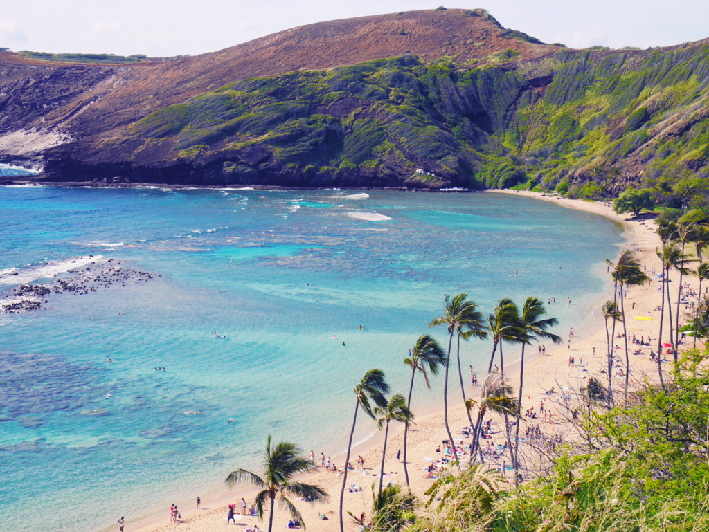 f:id:chikanism:20180319190401j:plain