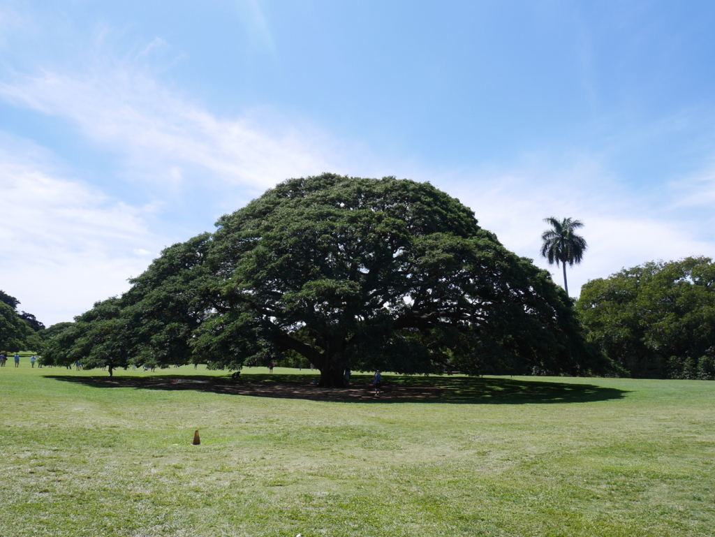 f:id:chikanism:20180319190437j:plain