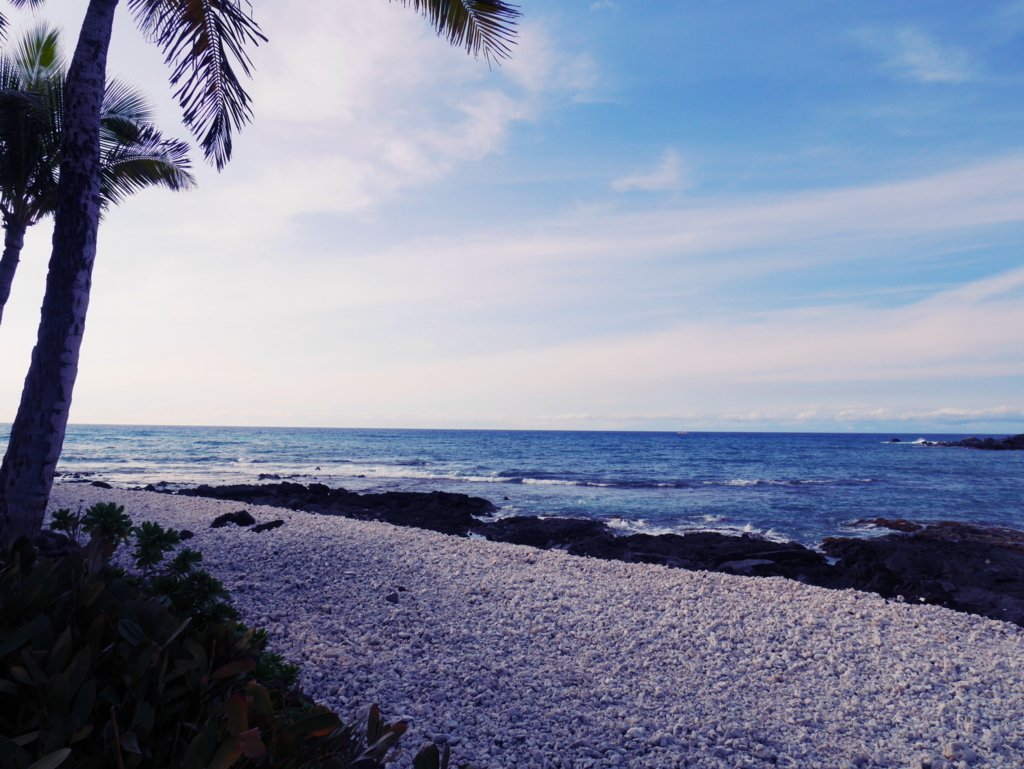 f:id:chikanism:20180319190618j:plain