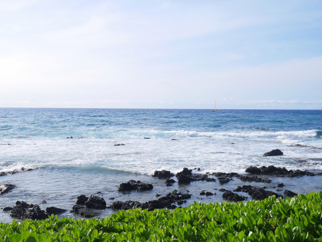 f:id:chikanism:20180319190632j:plain