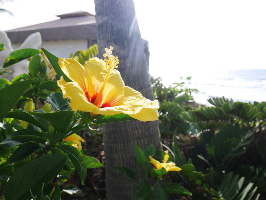 f:id:chikanism:20180319190640j:plain