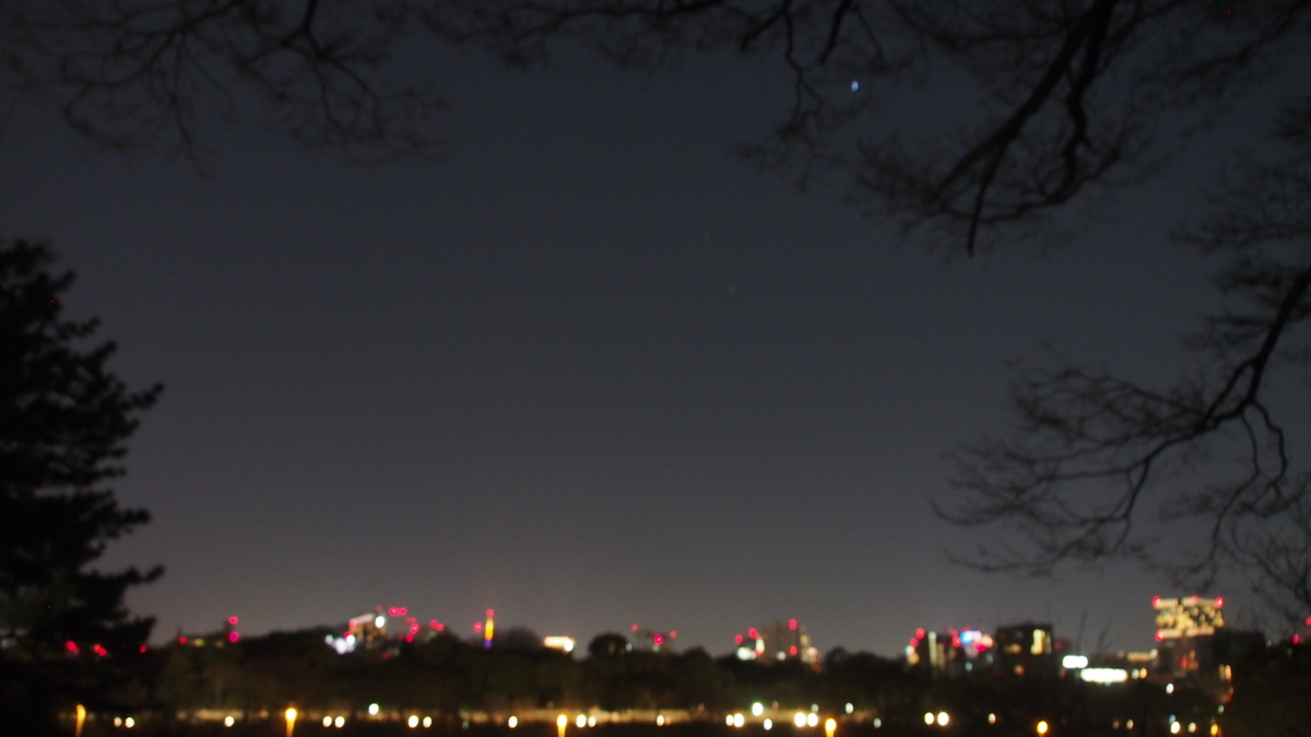 f:id:chikankai:20200224222354j:plain f:id:chikankai:20200224222354j:plain