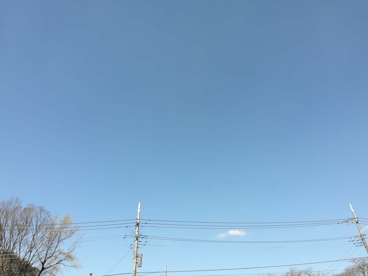 f:id:chikankai:20200318213724j:plain f:id:chikankai:20200318213724j:plain
