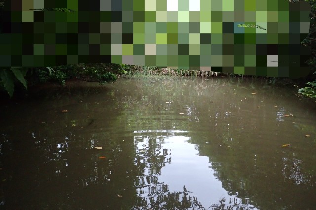 f:id:chikankai:20200324141208j:image f:id:chikankai:20200324141208j:image