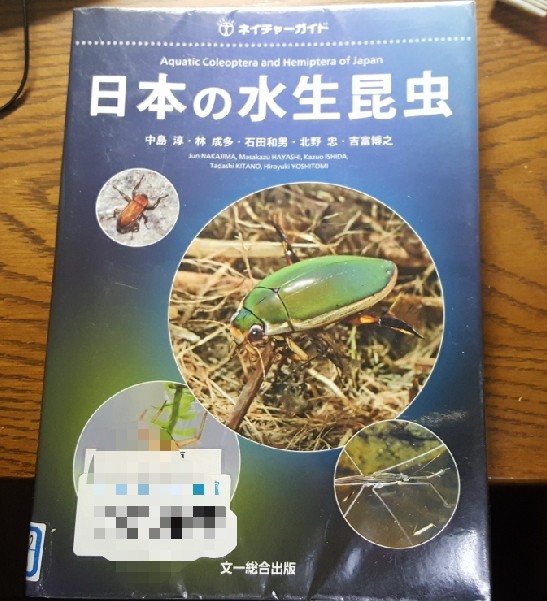 f:id:chikankai:20200325203342j:image f:id:chikankai:20200325203342j:image