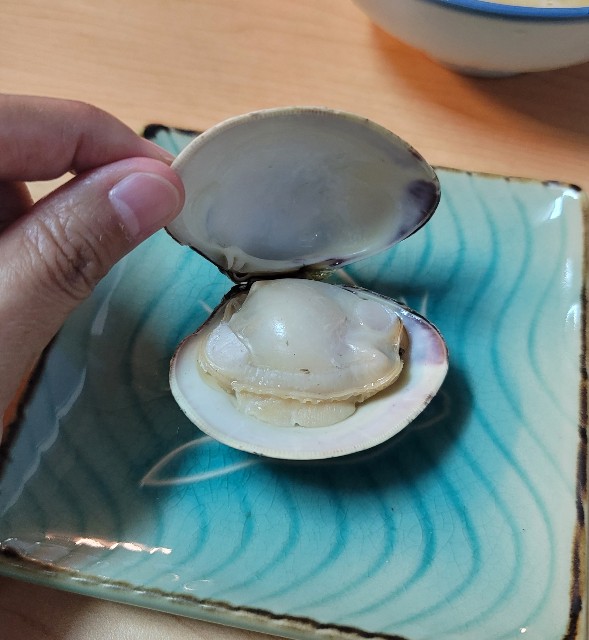 f:id:chikanomi:20220623102008j:image
