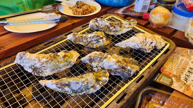 f:id:chikanomi:20250226162619j:image