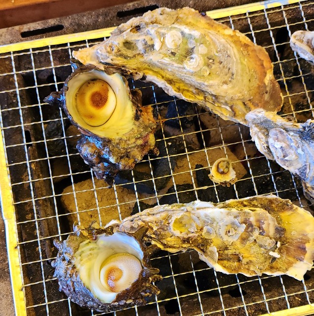 f:id:chikanomi:20250226162657j:image