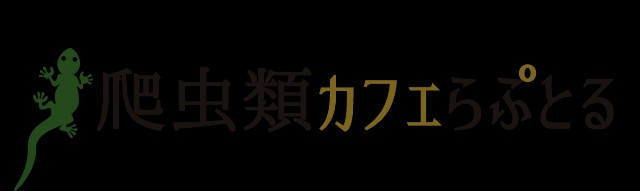 f:id:chikanzya:20190312183041j:image f:id:chikanzya:20190312183041j:image