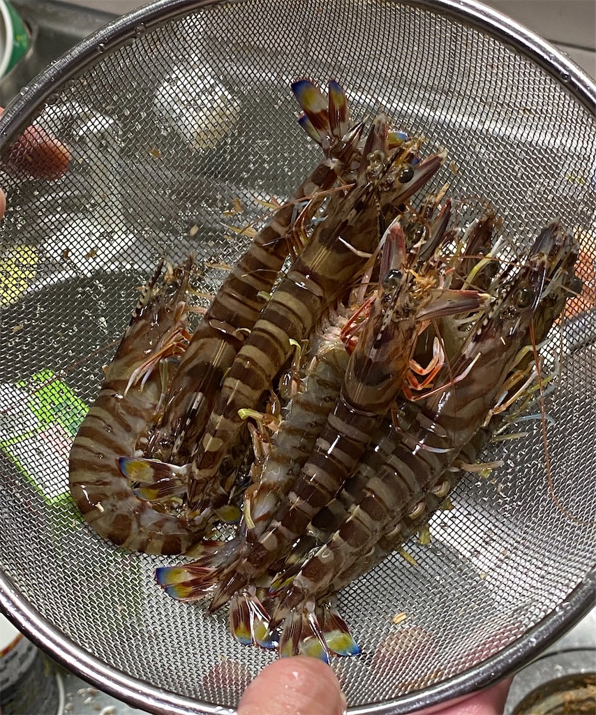 海岸通りで待ってるよ