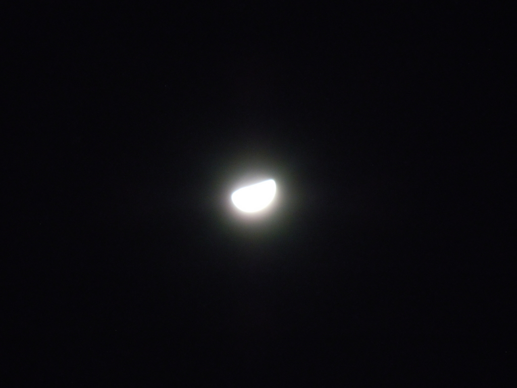 f:id:chikaratookamati:20190115060742j:plain f:id:chikaratookamati:20190115060742j:plain