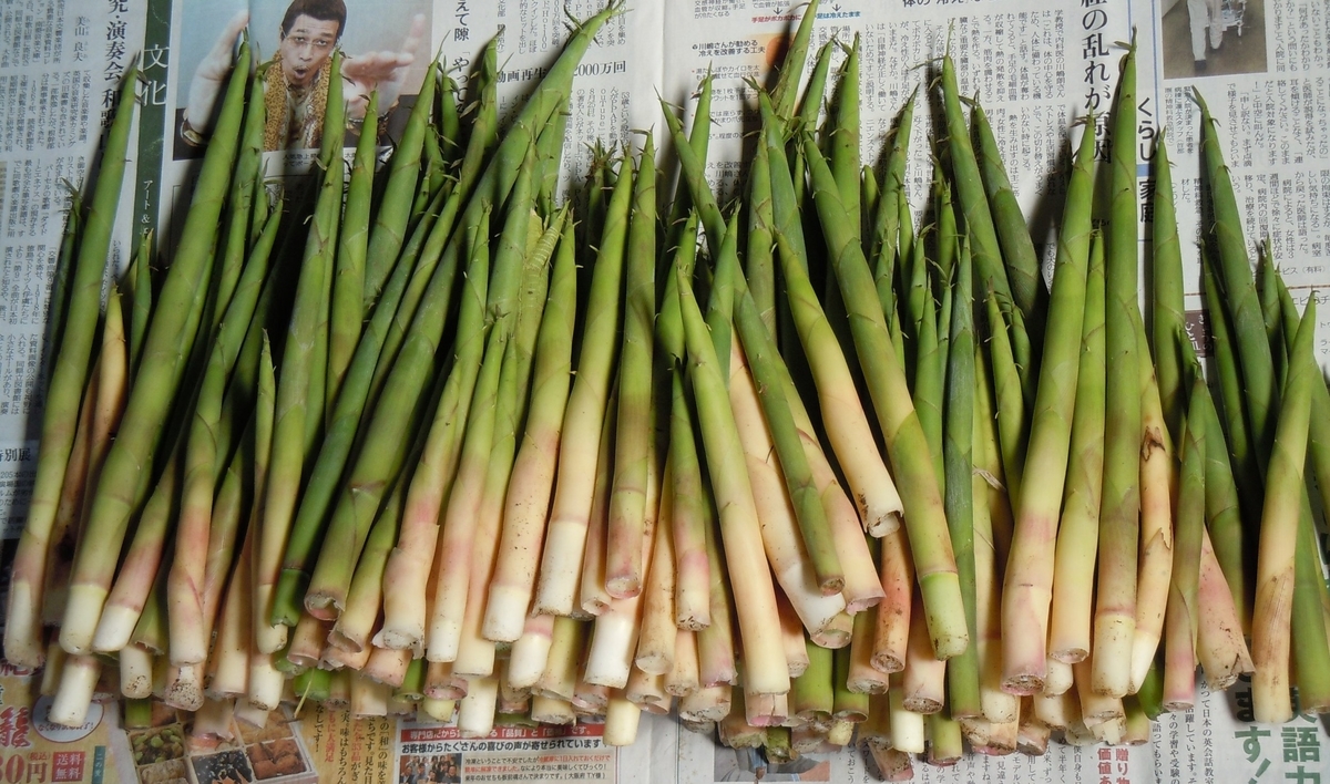 f:id:chikaratookamati:20190510170519j:plain f:id:chikaratookamati:20190510170519j:plain