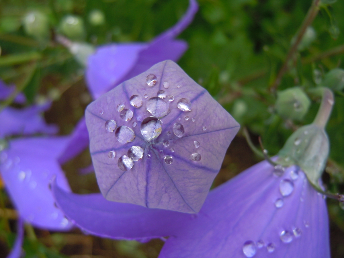f:id:chikaratookamati:20190717055114j:plain