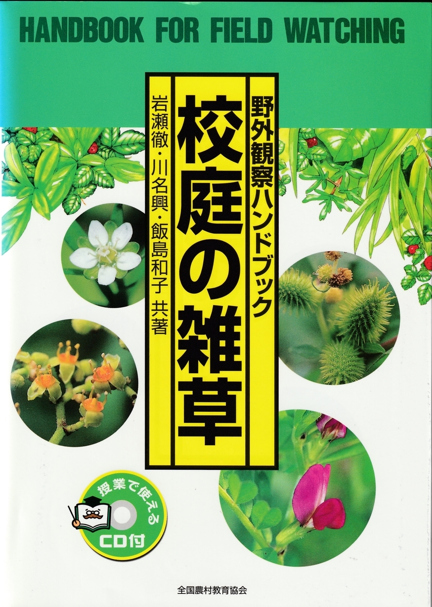 f:id:chikaratookamati:20190727071708j:plain