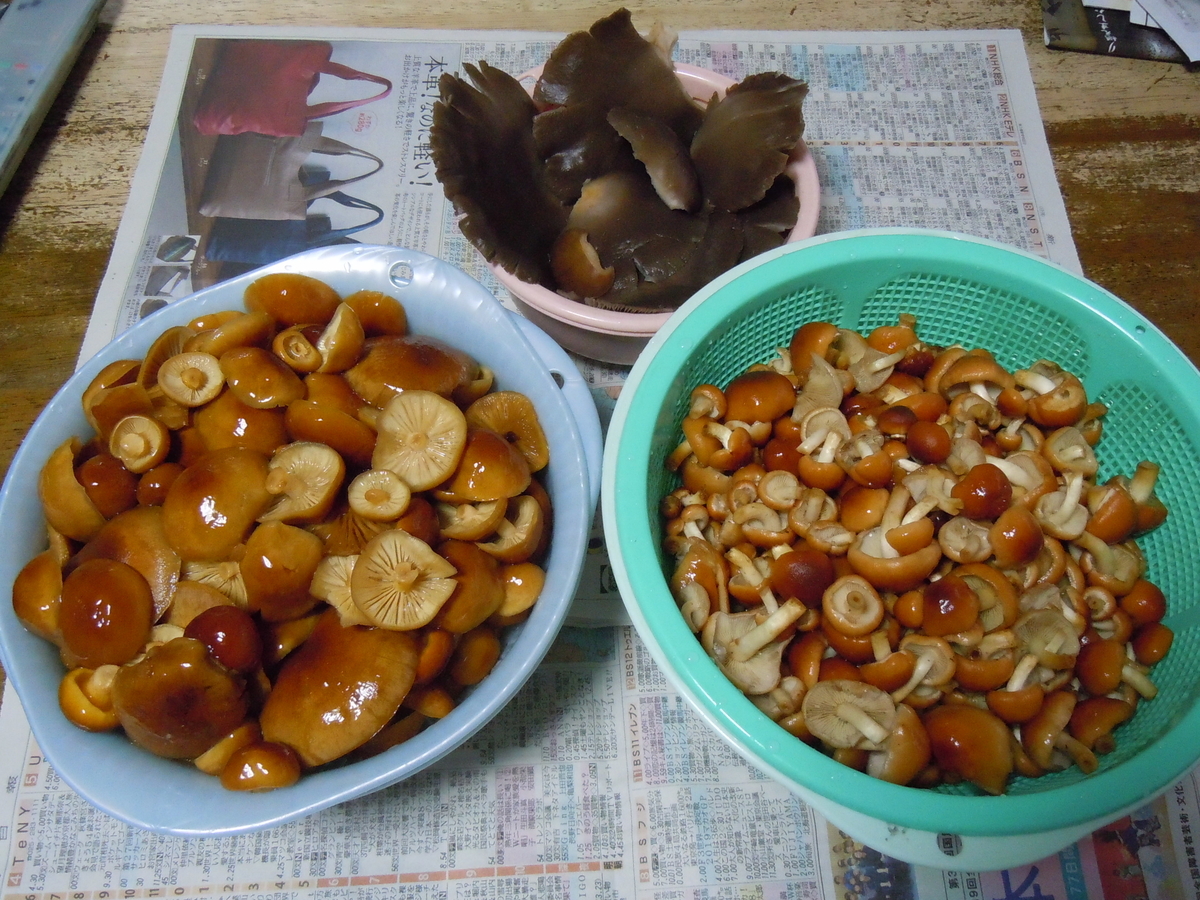 f:id:chikaratookamati:20191203060707j:plain f:id:chikaratookamati:20191203060707j:plain