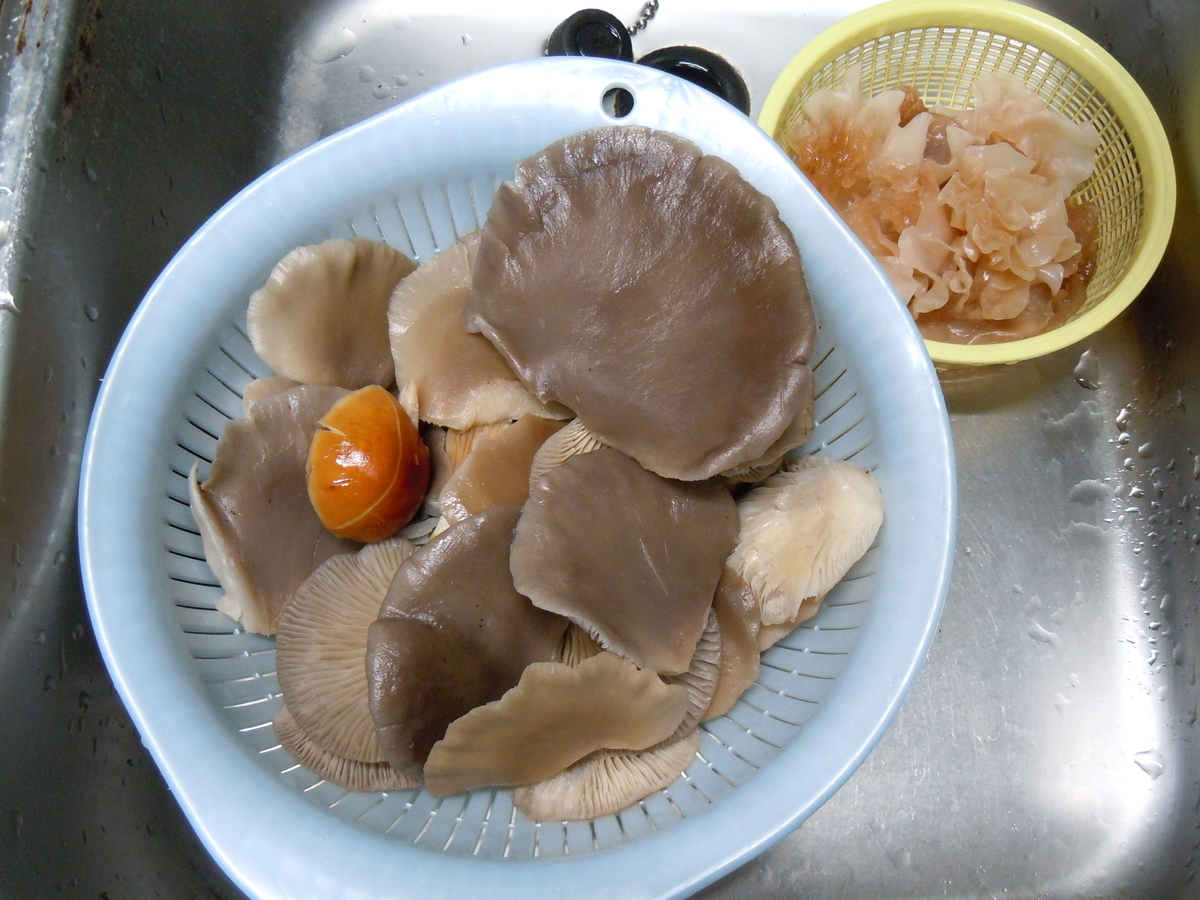 f:id:chikaratookamati:20191215055941j:plain