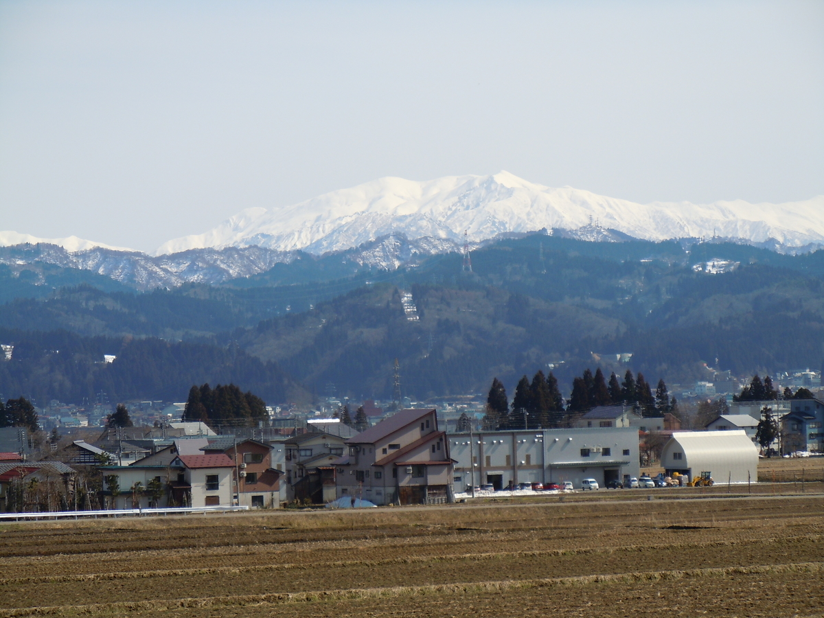 f:id:chikaratookamati:20200307134332j:plain