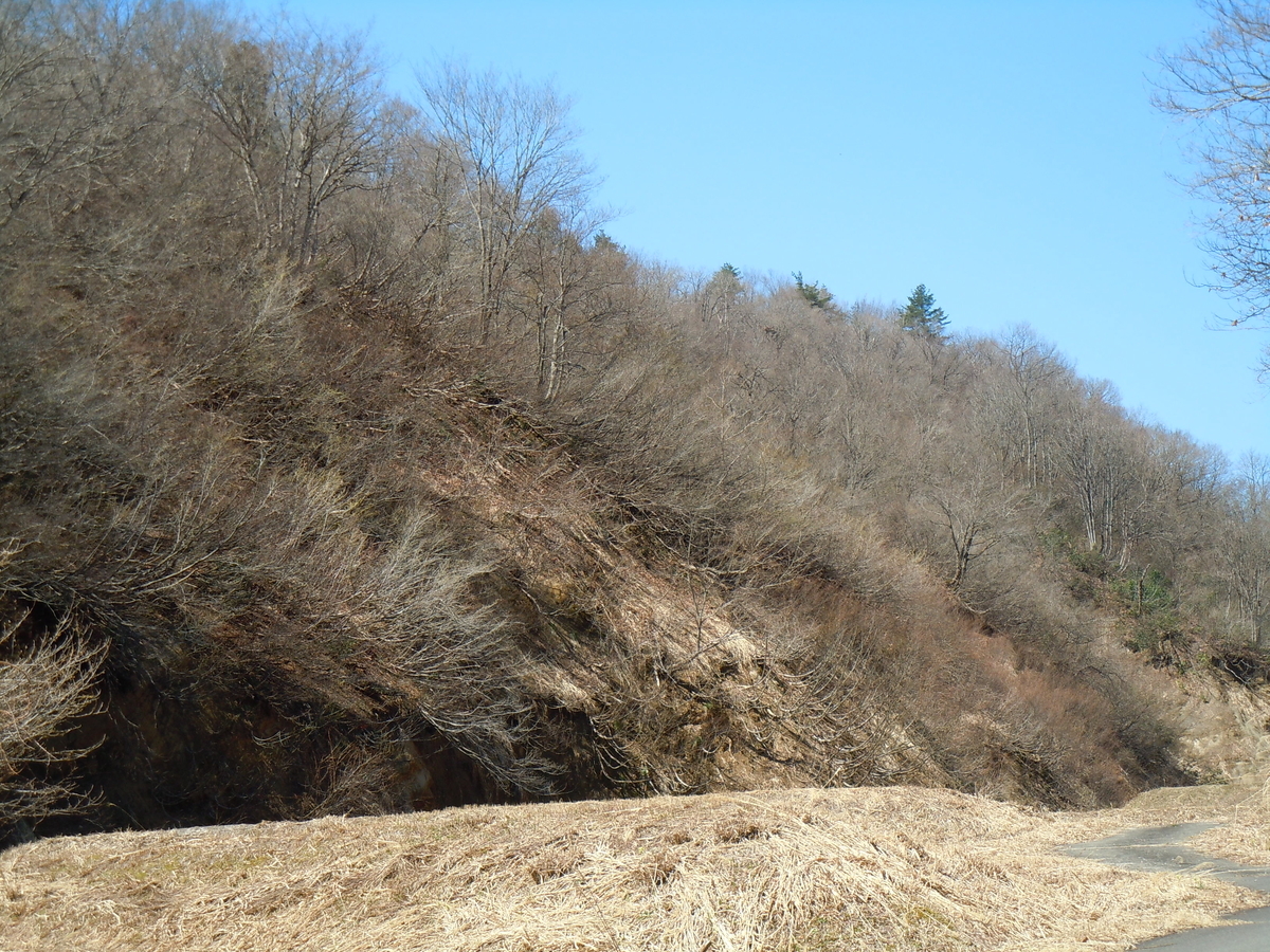 f:id:chikaratookamati:20200321180834j:plain