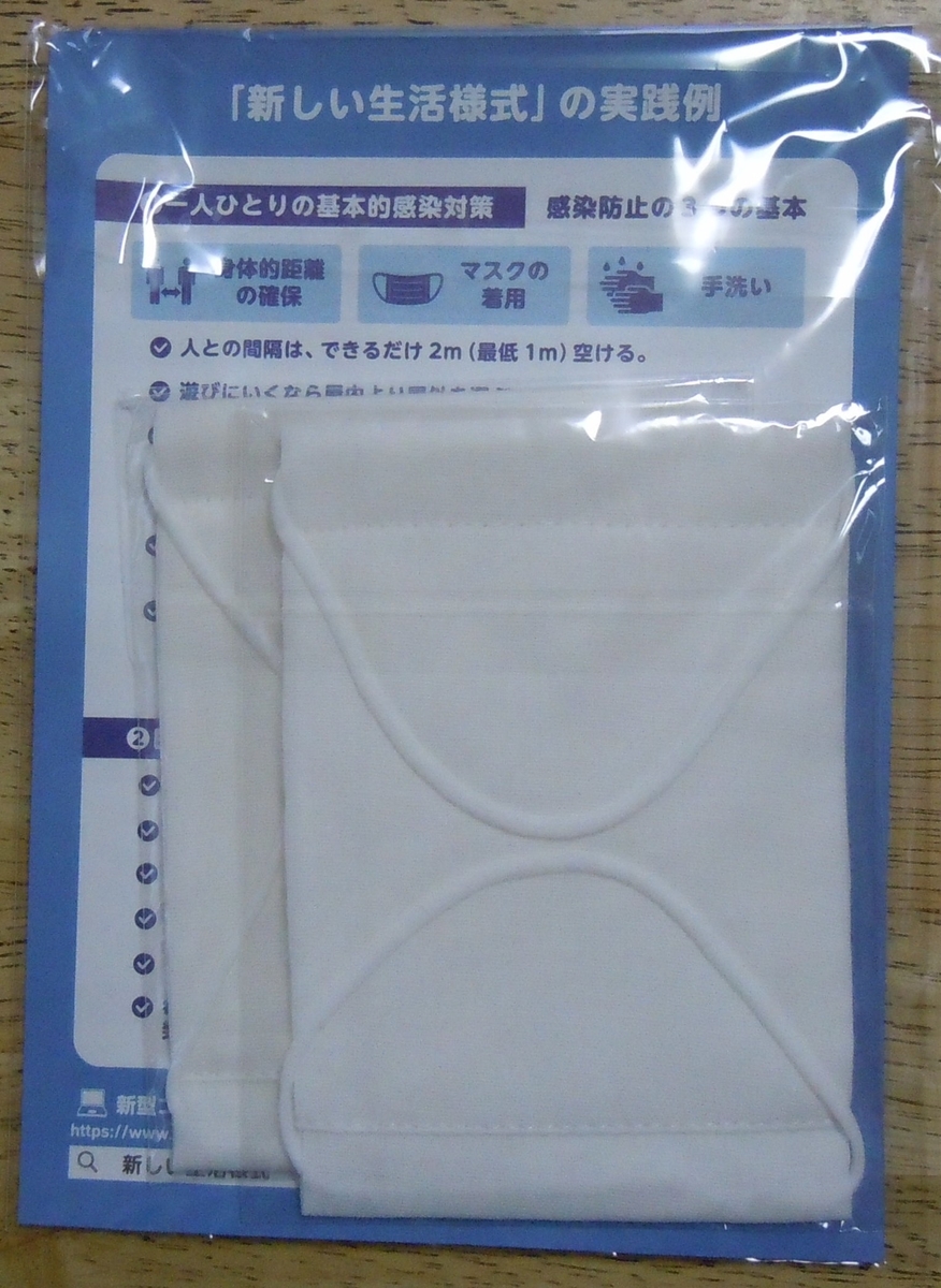 f:id:chikaratookamati:20200611171724j:plain