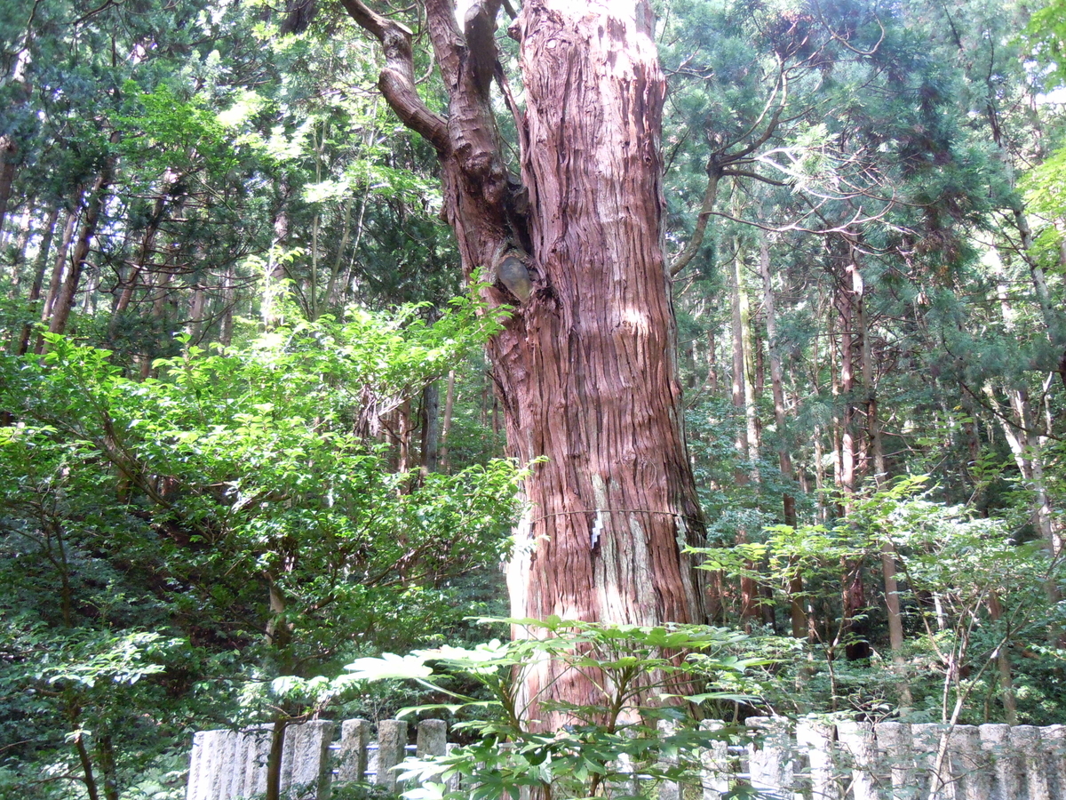 f:id:chikaratookamati:20200919094045j:plain