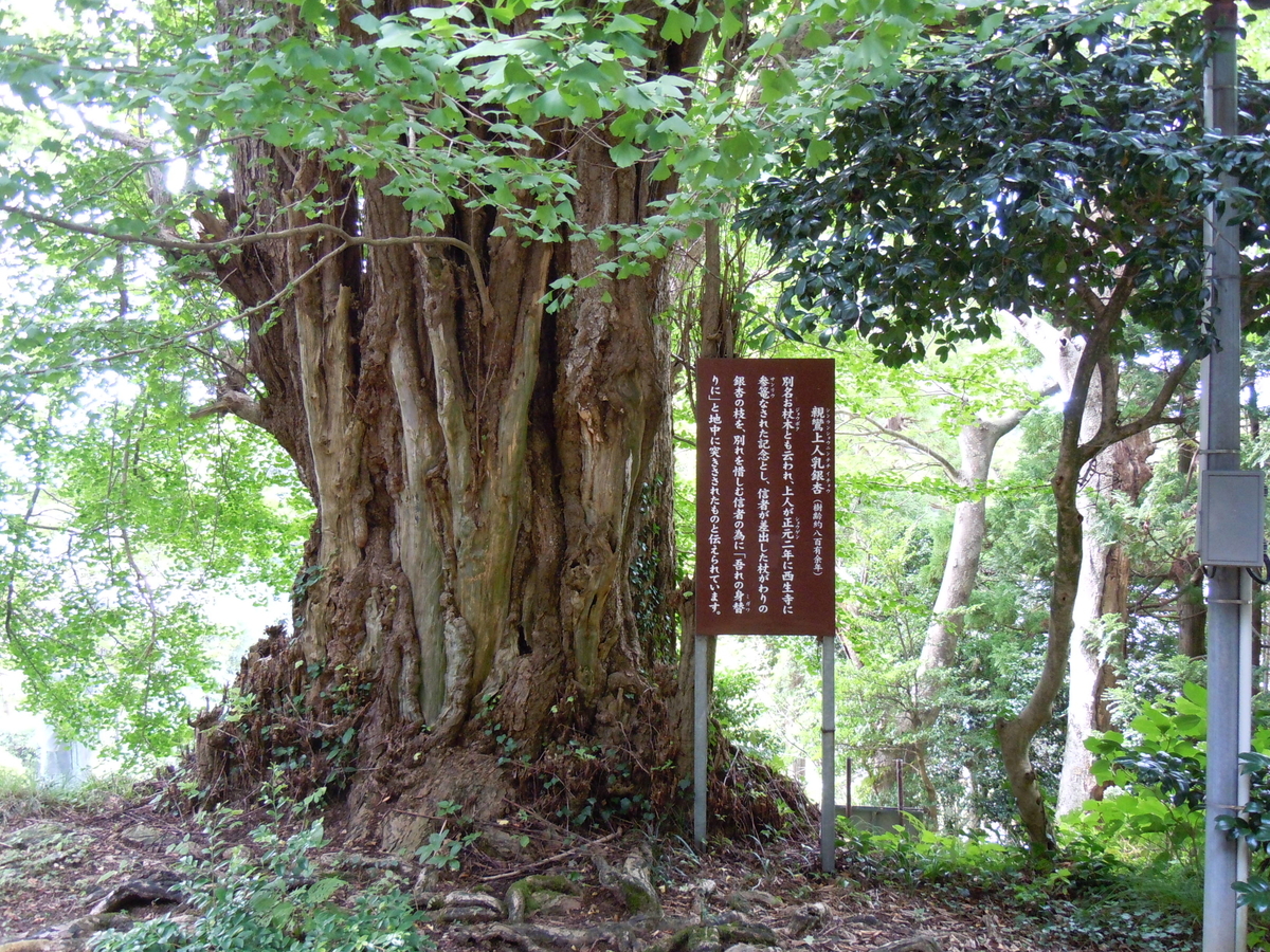 f:id:chikaratookamati:20200919114541j:plain