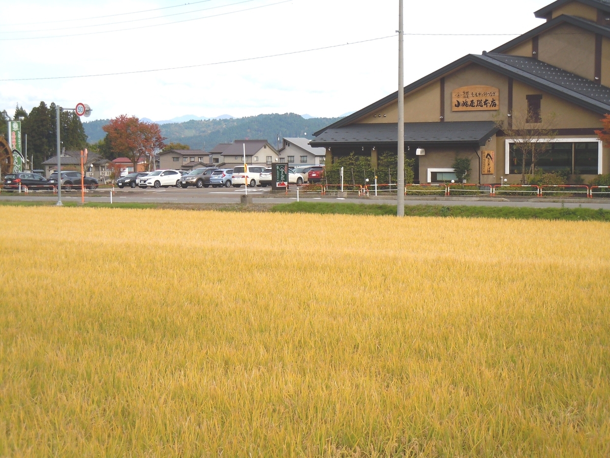 f:id:chikaratookamati:20201027161823j:plain