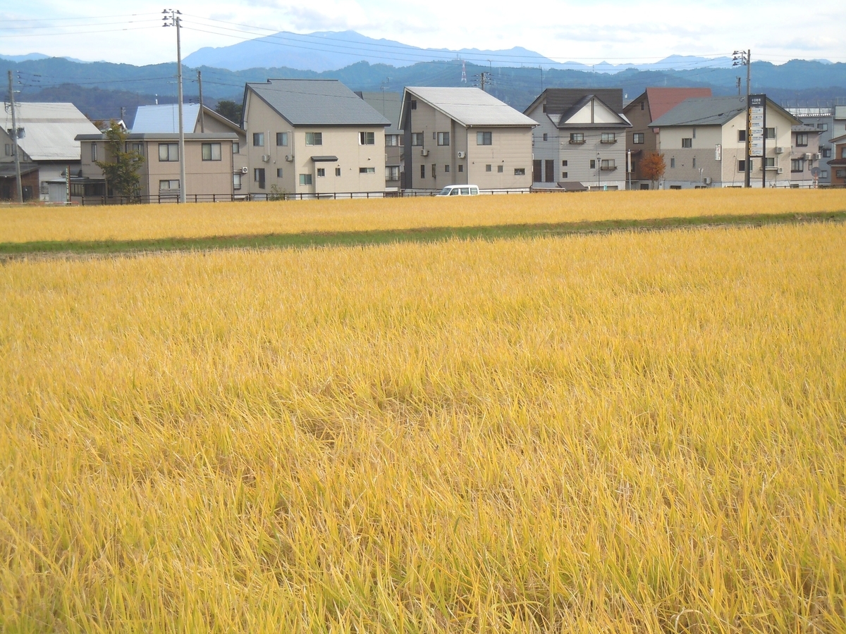 f:id:chikaratookamati:20201027181508j:plain