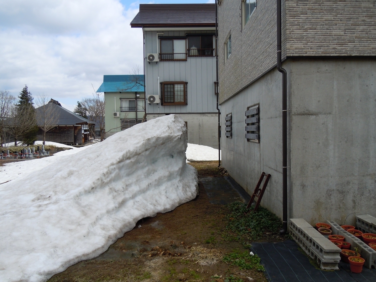f:id:chikaratookamati:20210420110559j:plain