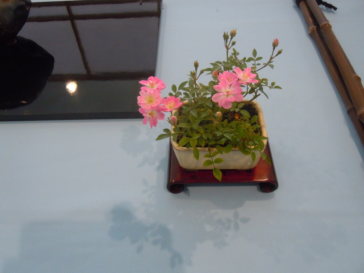 f:id:chikaratookamati:20210920052323j:plain