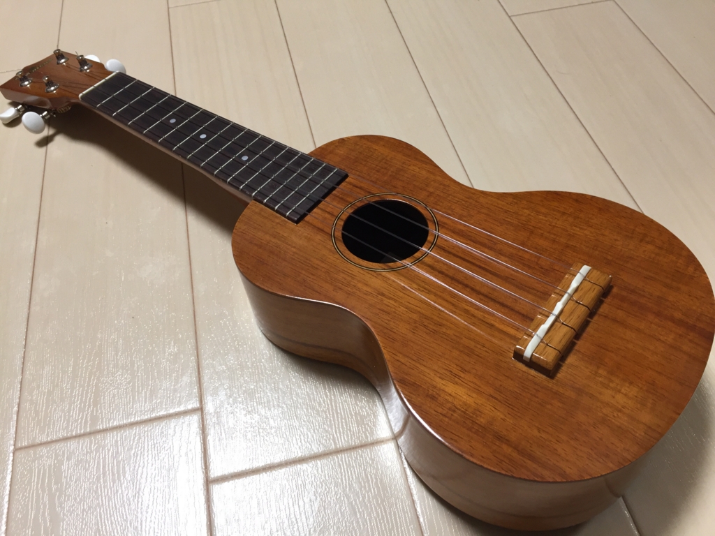 f:id:chikaratukirumade:20170215210953j:plain f:id:chikaratukirumade:20170215210953j:plain