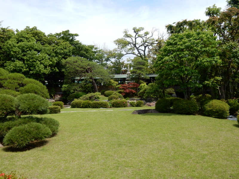 f:id:chikashi-san:20150524100723j:image:w360