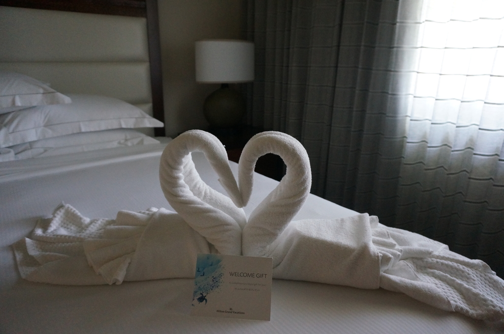 f:id:chiki-chiki_odekake:20180929232315j:plain