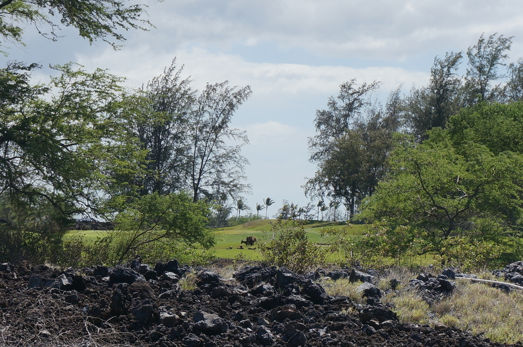 f:id:chiki-chiki_odekake:20180929233038j:plain f:id:chiki-chiki_odekake:20180929233038j:plain