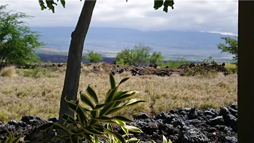 f:id:chiki-chiki_odekake:20181027230850j:image f:id:chiki-chiki_odekake:20181027230850j:image