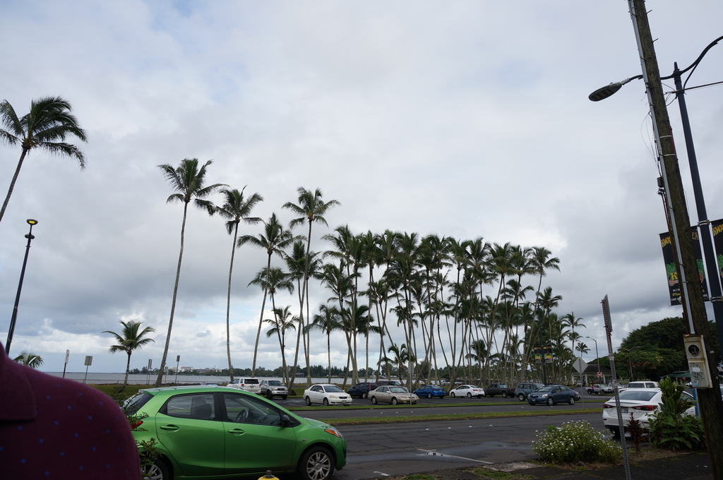 f:id:chiki-chiki_odekake:20181028153918j:plain f:id:chiki-chiki_odekake:20181028153918j:plain