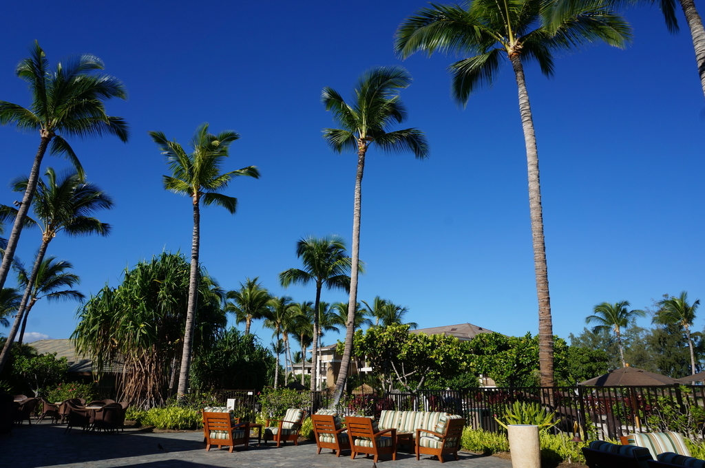 f:id:chiki-chiki_odekake:20181121180015j:plain f:id:chiki-chiki_odekake:20181121180015j:plain