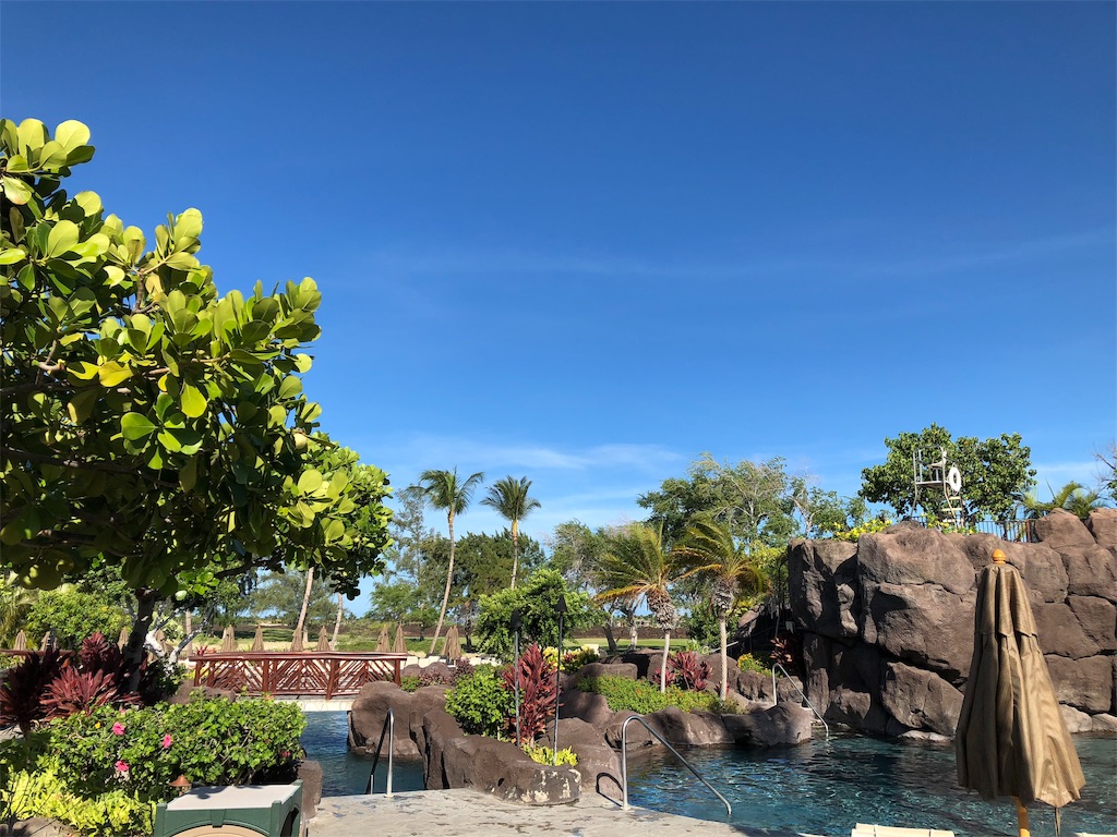 f:id:chiki-chiki_odekake:20190206230154j:image f:id:chiki-chiki_odekake:20190206230154j:image