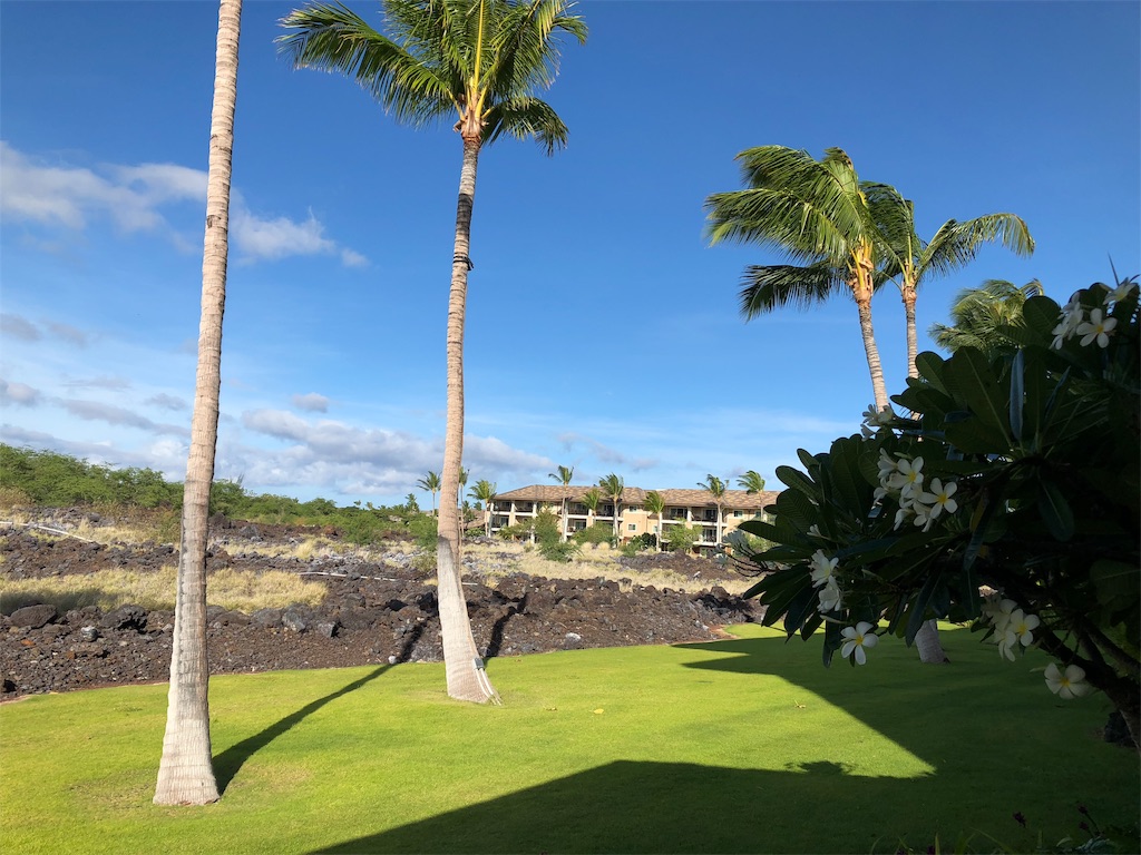 f:id:chiki-chiki_odekake:20190206230158j:image f:id:chiki-chiki_odekake:20190206230158j:image