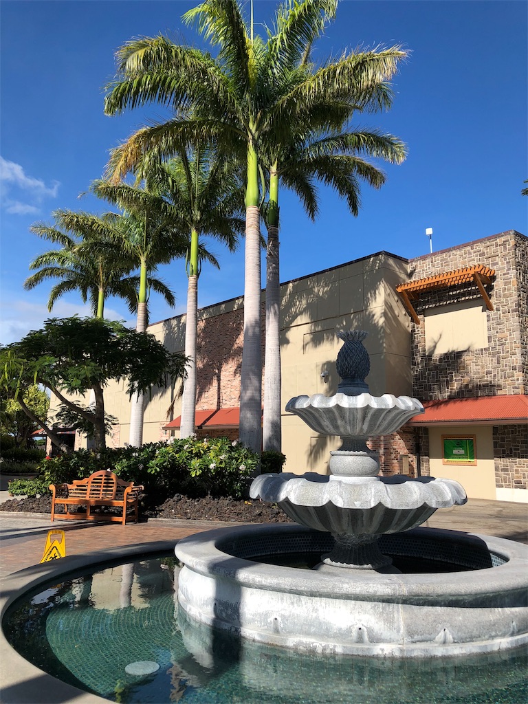 f:id:chiki-chiki_odekake:20190206230216j:image f:id:chiki-chiki_odekake:20190206230216j:image