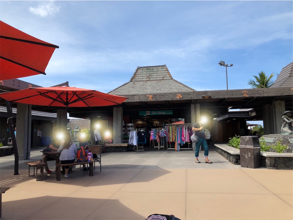 f:id:chiki-chiki_odekake:20190208211053j:image f:id:chiki-chiki_odekake:20190208211053j:image