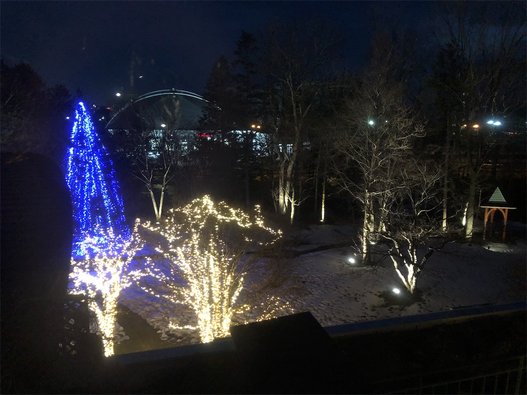 f:id:chiki-chiki_odekake:20190318230945j:image